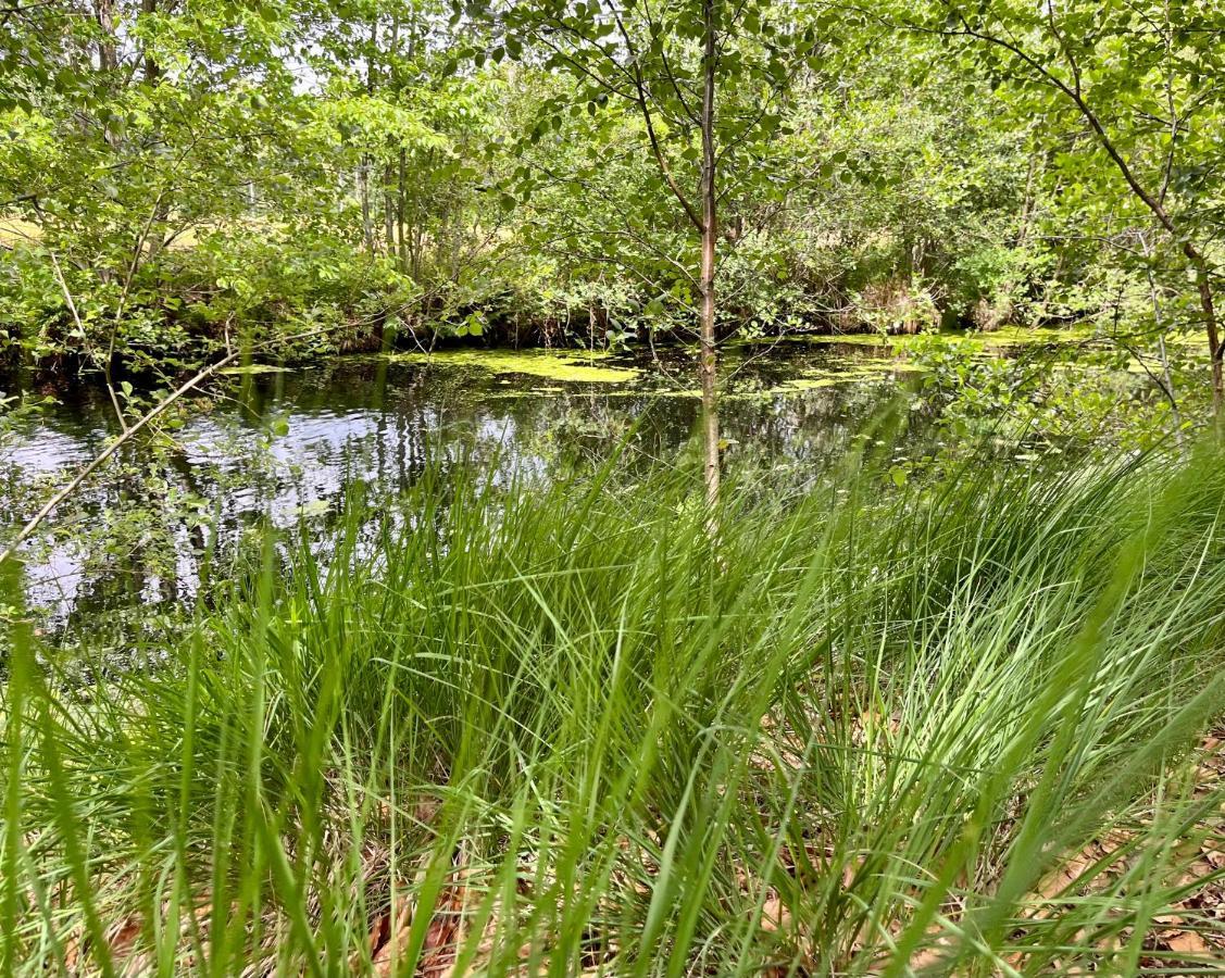 Landzicht Natuur Rust En Ruimte Oosterwolde  Exterior photo