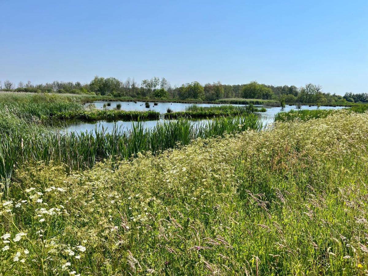 Landzicht Natuur Rust En Ruimte Oosterwolde  Exterior photo