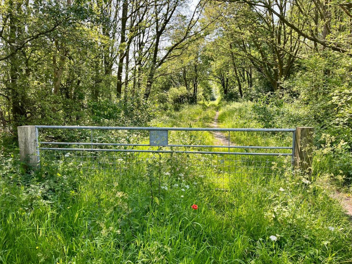 Landzicht Natuur Rust En Ruimte Oosterwolde  Exterior photo