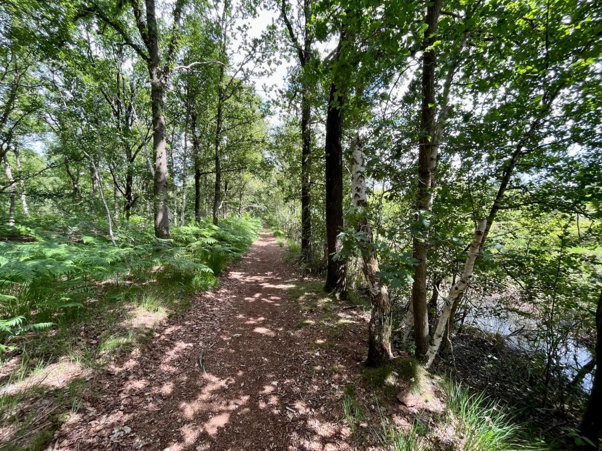 Landzicht Natuur Rust En Ruimte Oosterwolde  Exterior photo