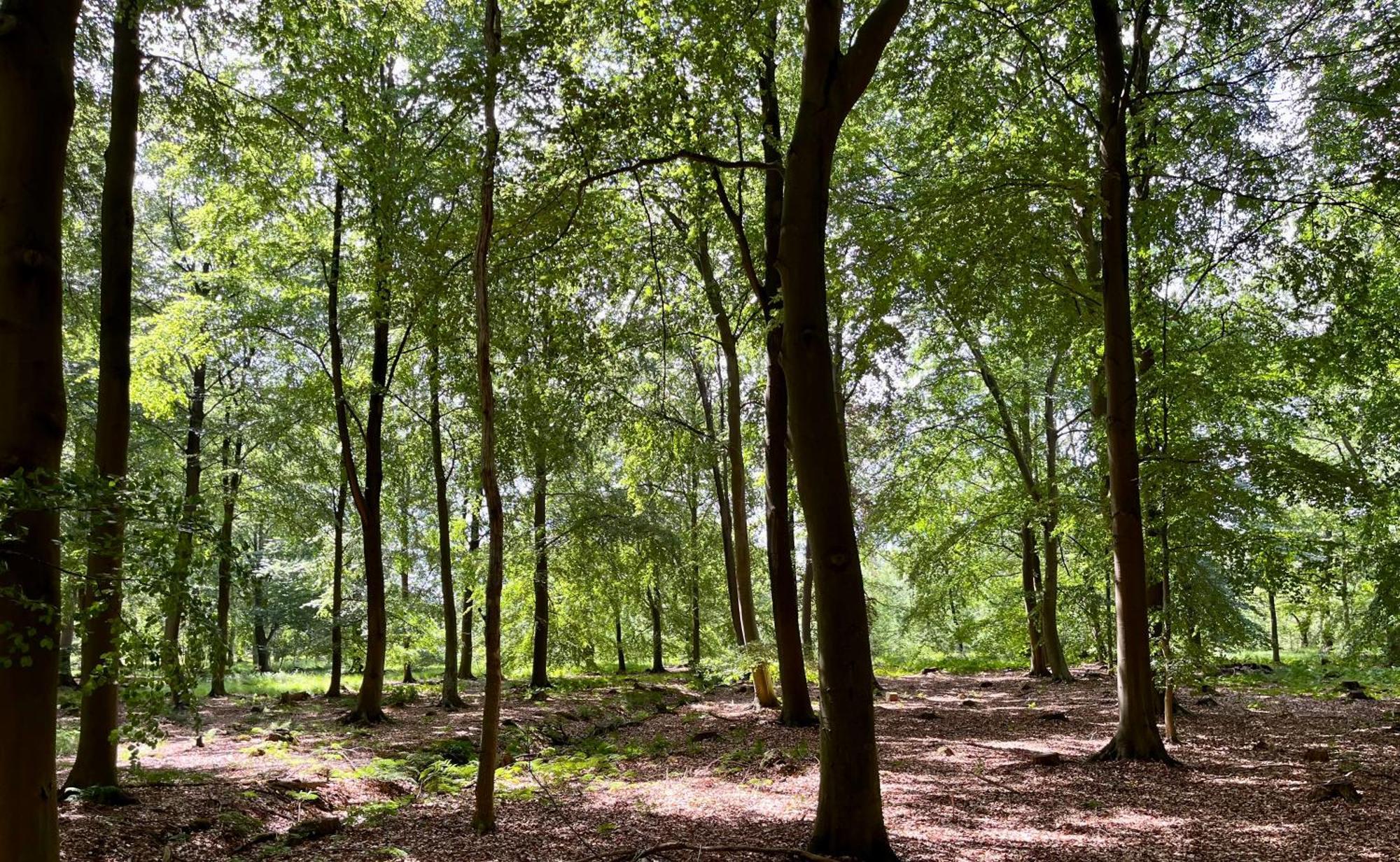 Landzicht Natuur Rust En Ruimte Oosterwolde  Exterior photo
