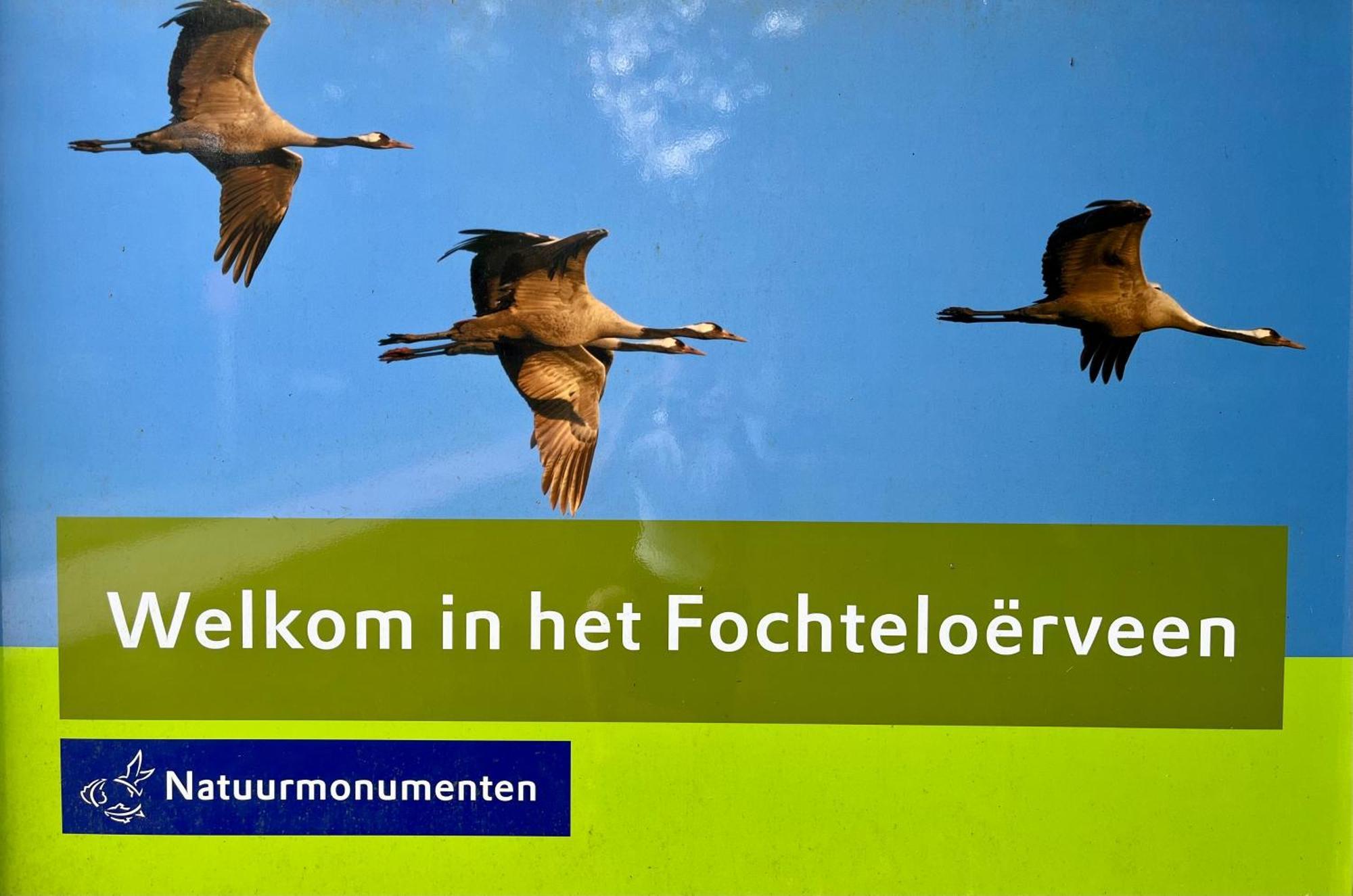 Landzicht Natuur Rust En Ruimte Oosterwolde  Exterior photo